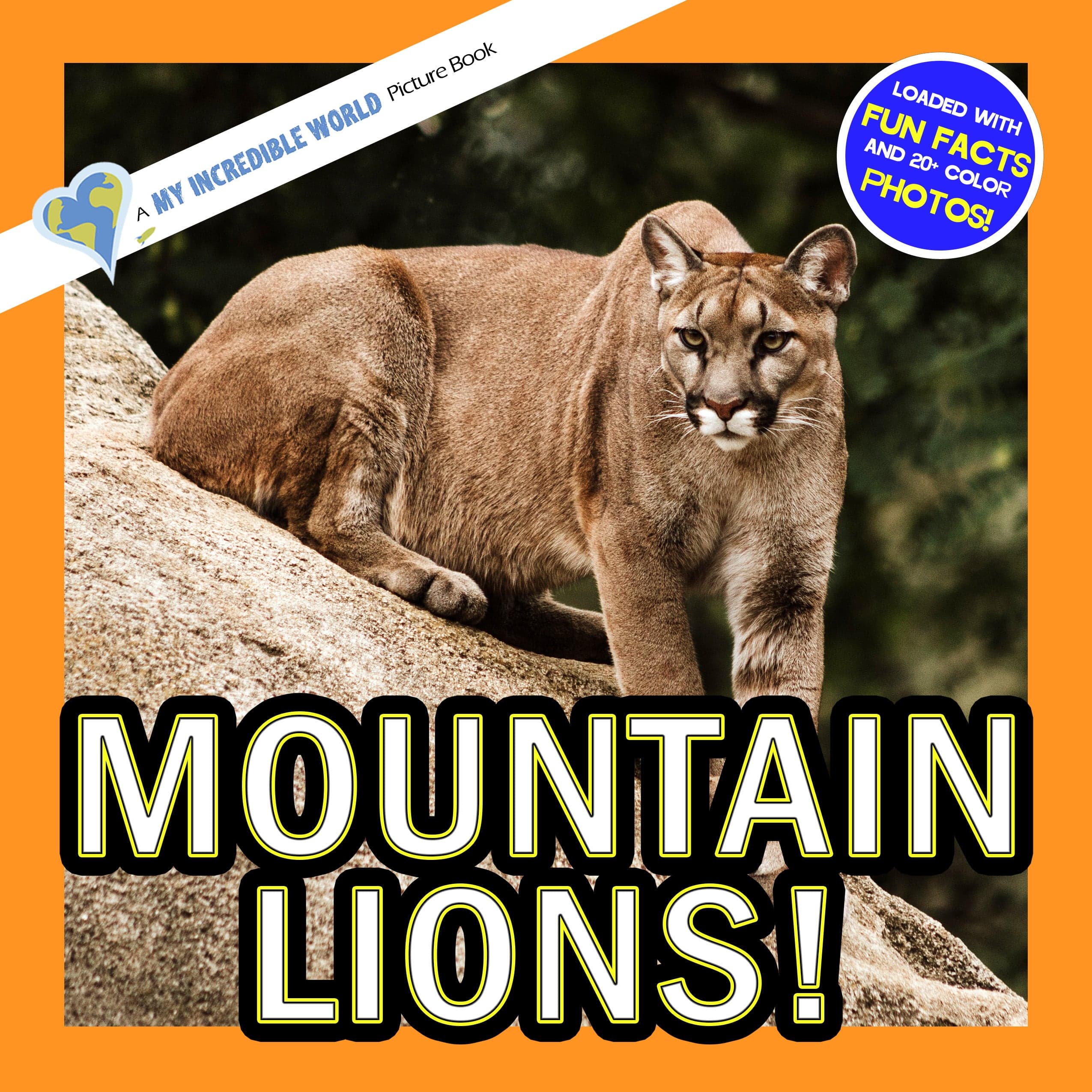 Mountain Lions! A My Incredible World Picture Book for Children
